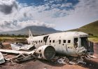Nine people including Malawi's Vice President perished in the Plane disaster.
